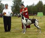 Jättiläisen Batseba AVO 1.1 Sa PN 1. CACIB, VSP / Best Female 1. CACIB, VSP