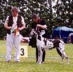 Jättiläisen Batseba AVO 1.1 SA, PN 1, ROP, RYP 2/ Best Female 1. BOB, GROUP 2. (Group judge Katrin Lahi, Estonia)