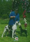 BIS 3-puppy