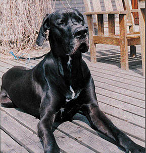 Roope